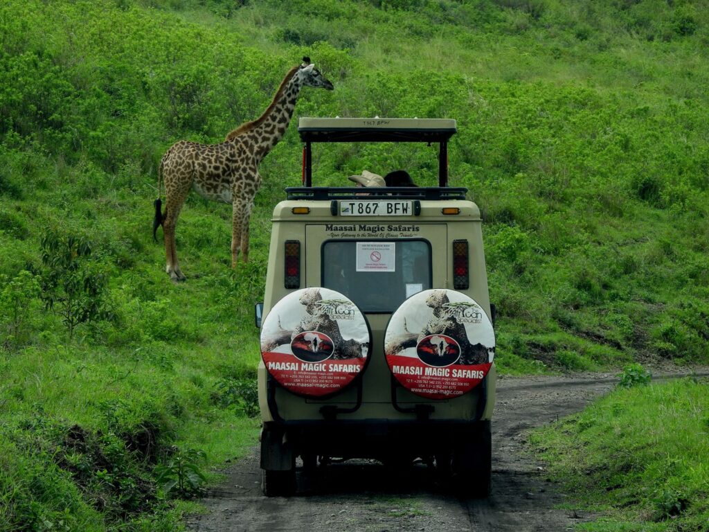 Mastering Safari Debugging with AI: Elevate Your Web Game