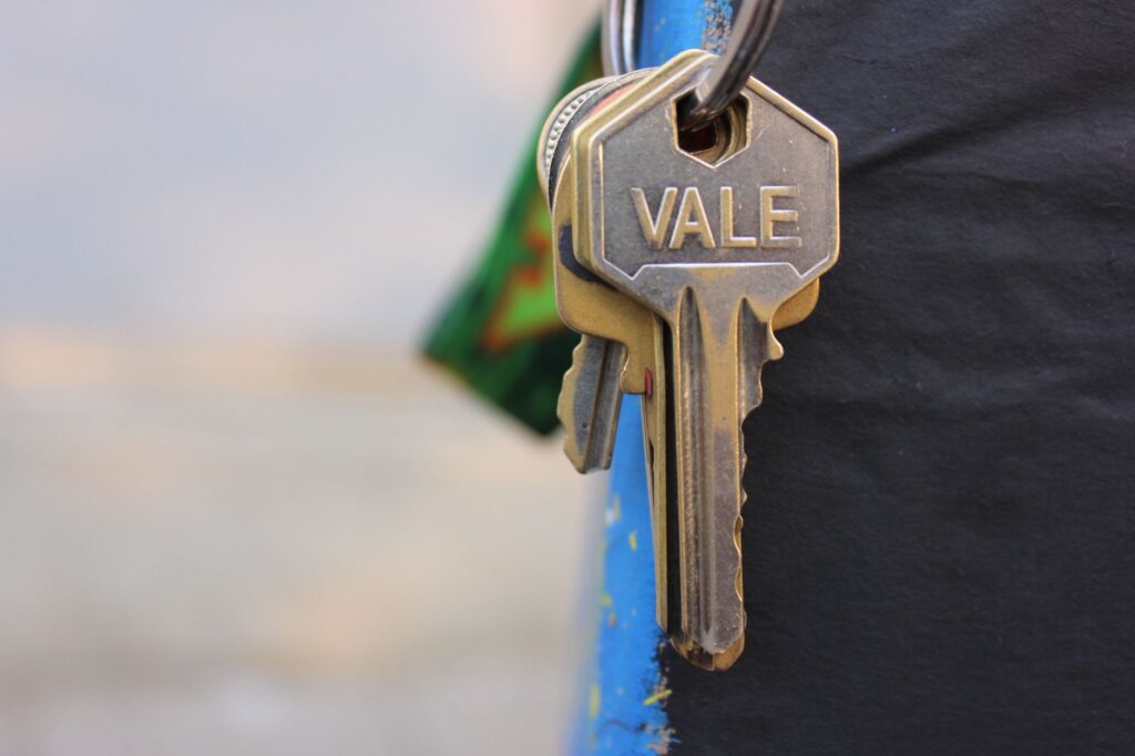 Unlocking the Power of AI-Driven Content Discovery: Google's New "Dive Deeper" Feature